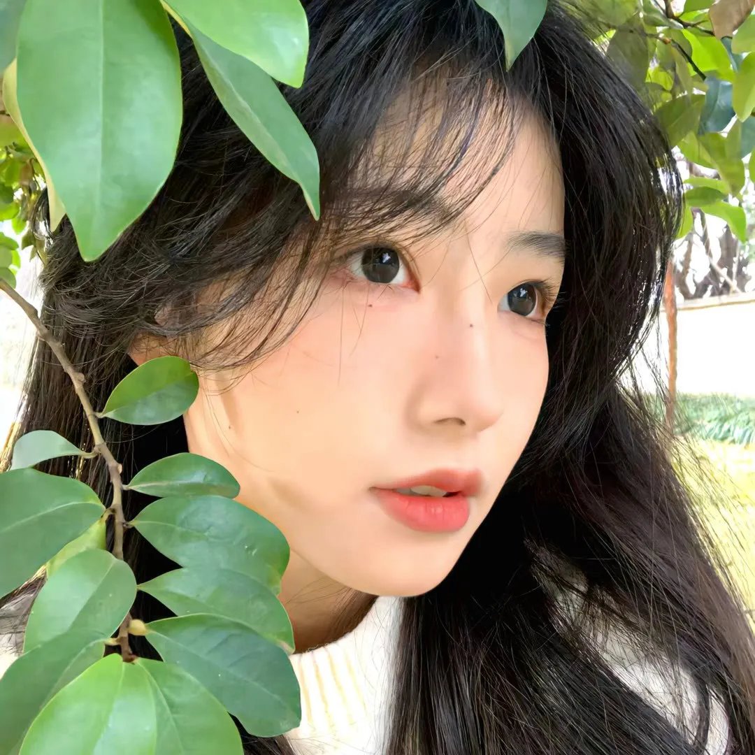 我爱猫头鹰